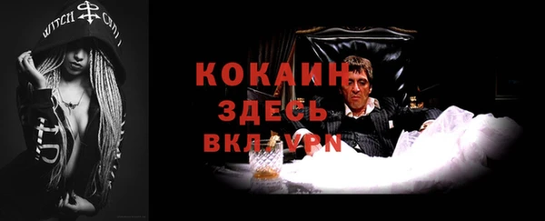 гидра Белоозёрский