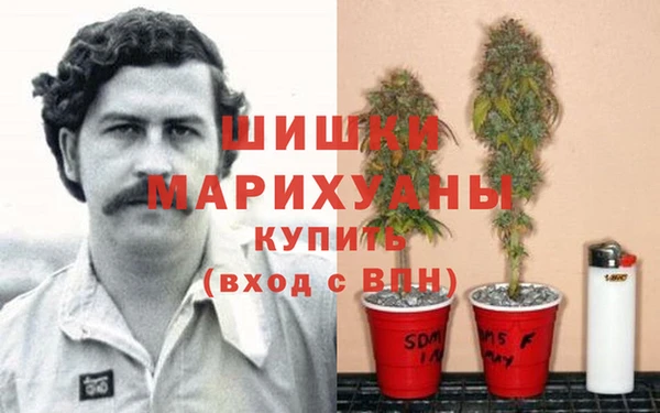 гидра Белоозёрский