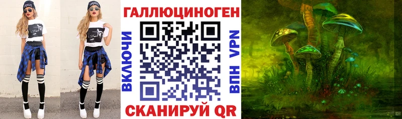 mega как зайти  Кодинск  Псилоцибиновые грибы Cubensis 